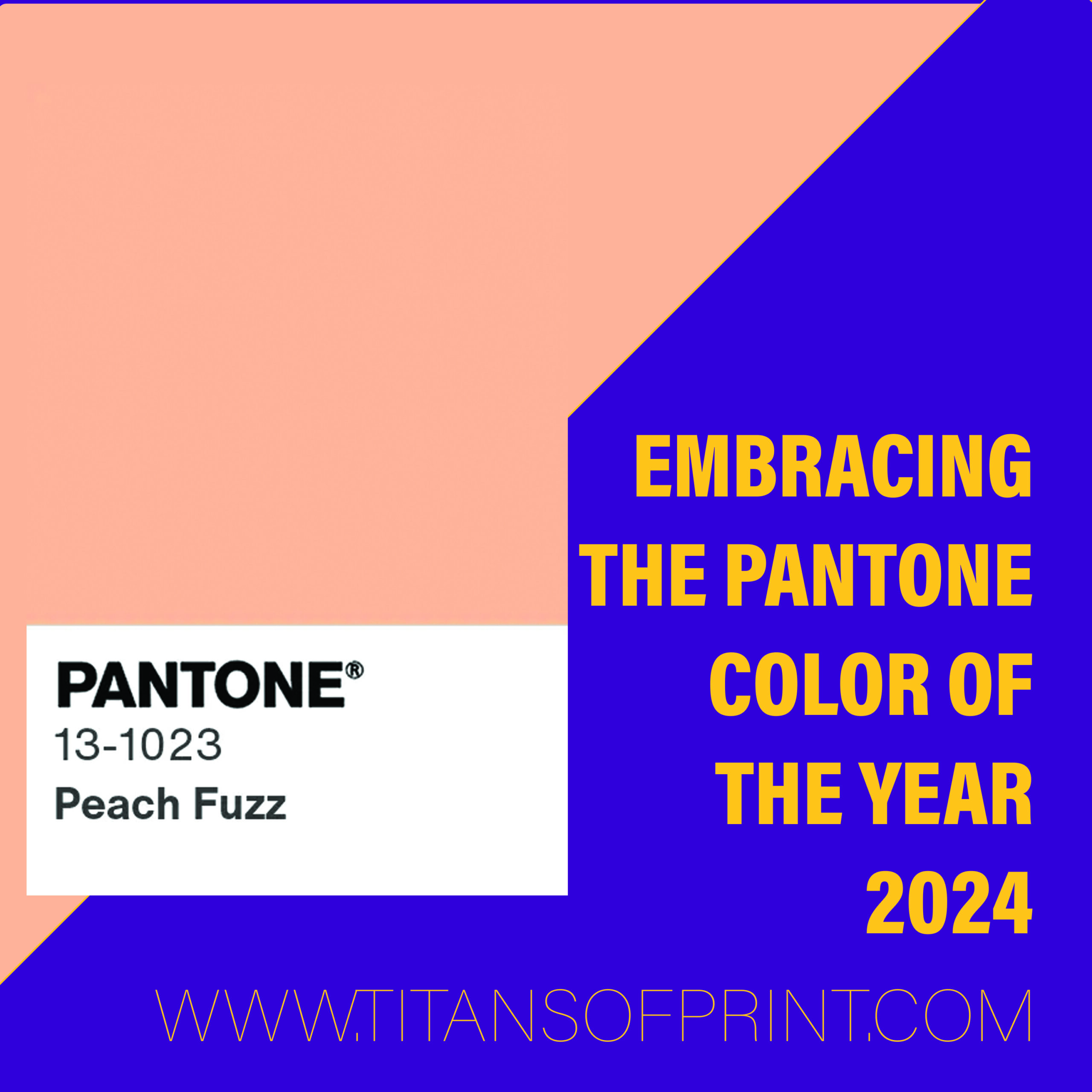 Embracing the Pantone Color of the Year 2024